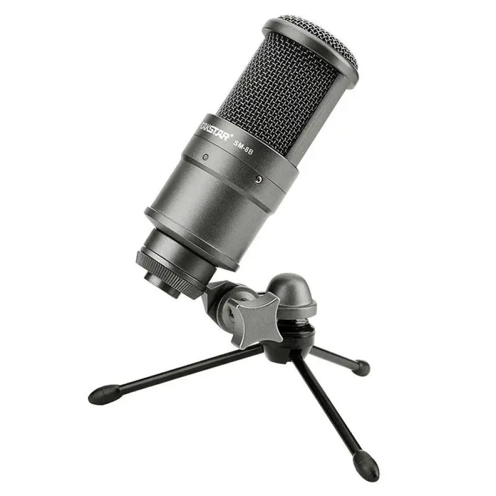 Takstar SM-8B Professional Recording Studio Microphone